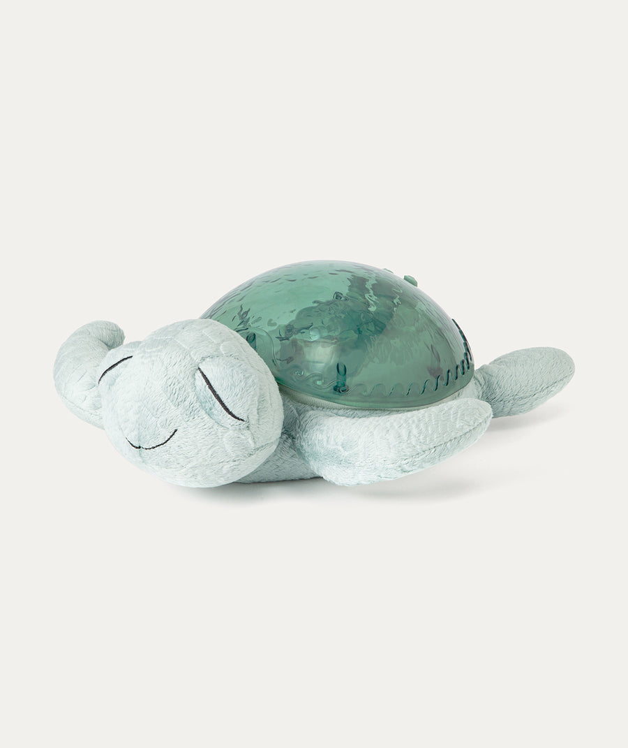 Tranquil Turtle - Green