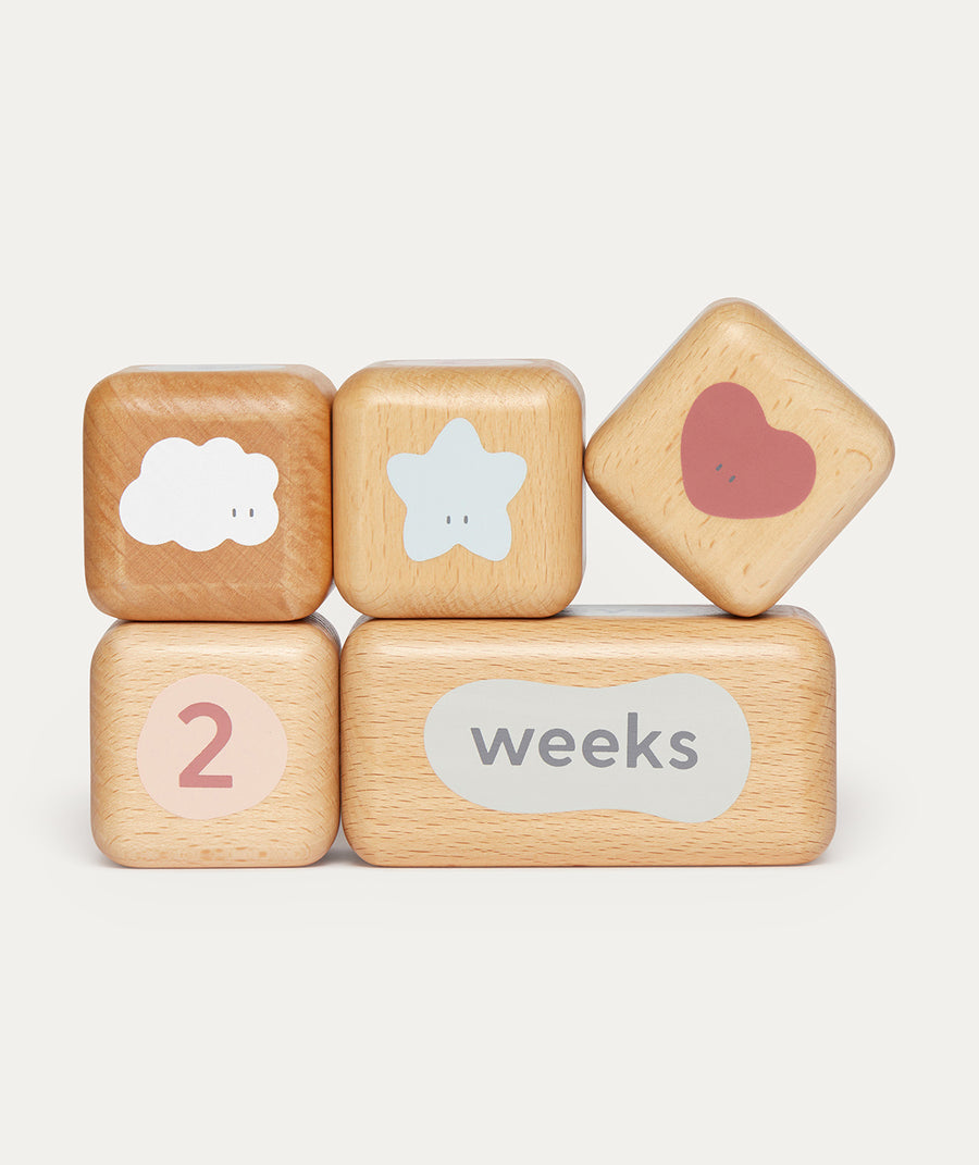 Wooden Baby Milestone Blocks - Multi