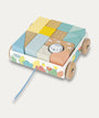 Pure Pull Along Blocks Cart - Multi