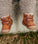 Winterboot Daxi Tex -  Cognac