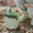 KIDLY Label Foldaway Bucket & Spade Set: Green
